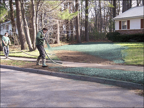 Residential Projects