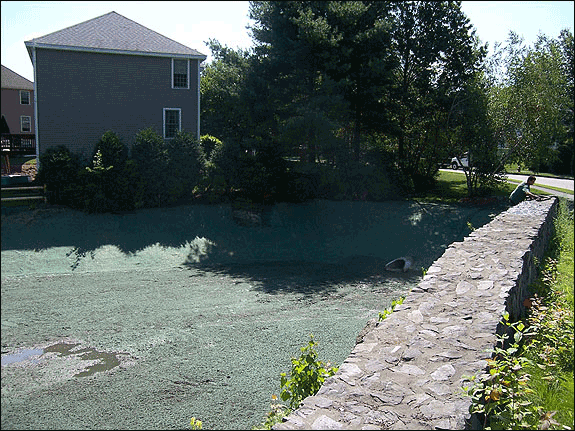 Residential Projects